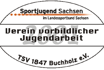 Verein vorbildlicher Jugendarbeit